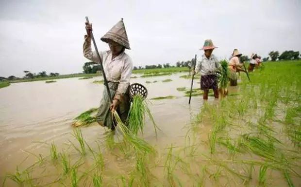 缅甸一个由富变穷越混越惨的脆弱国家