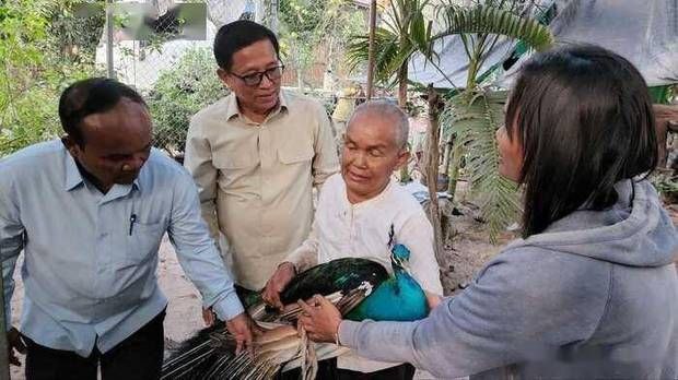 柬埔寨洪森首相奖励孔雀主人1000万瑞尔