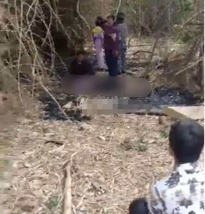 柬埔寨一女子不幸被大象踩死