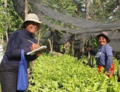 柬埔寨农业专家鼓励小农户转向并增加生态农业种植