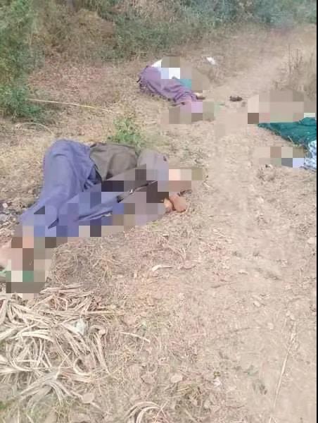 太惨了！缅甸阿亚多镇4名村民遭爆头枪杀，其中1名是10岁少年