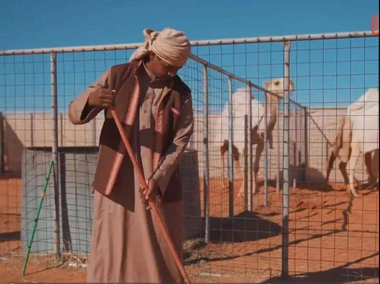 沙特推出了世界上第一家骆驼酒店