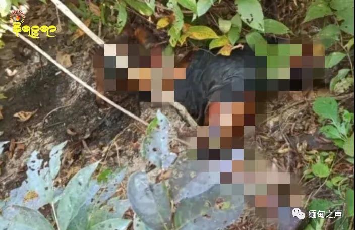 缅甸山间小路，花季少女遇害，发现时已腐烂发臭；孟贡一女村民砍竹子时遇意外
