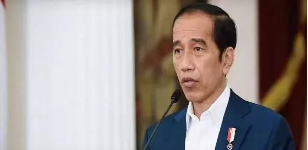 印度尼西亚总统佐科威重申解决缅甸问题 落实东盟五点共识是关键