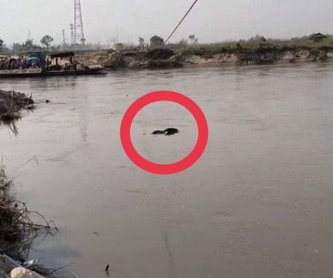 缅甸掸邦南坎河中发现一具浮尸