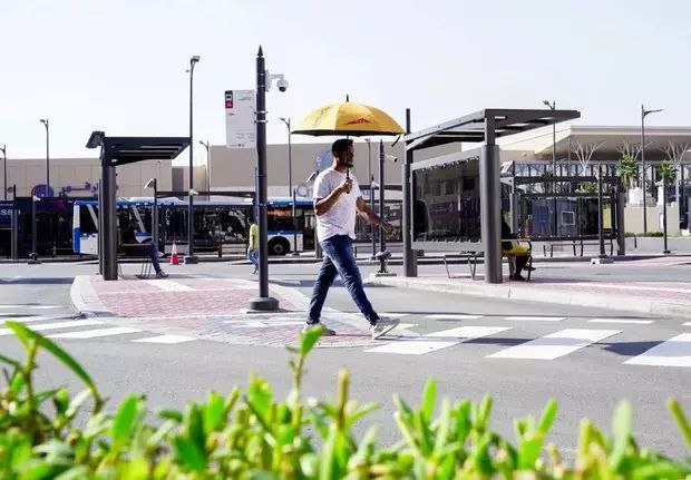 迪拜宣布推出免费的智能雨伞服务
