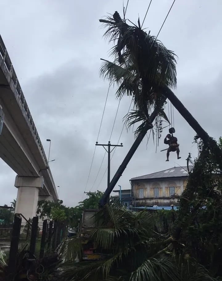 狂风暴雨来袭！缅甸多地屋顶被掀、电杆被折断、大树拔地而起