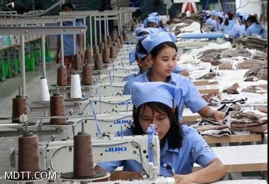 无论在哪个工厂打工是最枯燥的工作，尤其是流水线上的简单重复性的工作，更是乏味极了，但无论怎么没趣的工作都是需要人来完成的，这几年，缅甸很多在工厂打工的女孩子，一个个其实很漂亮，颜值不输现在的网红，她们就那样默默的做着最简单最繁复的工作。